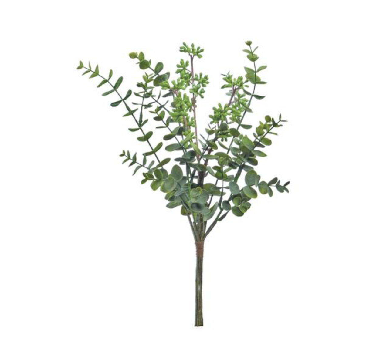 Eucalyptus Seeds Spray River City Relics eucalyptus-seeds-spray-river-city-relics